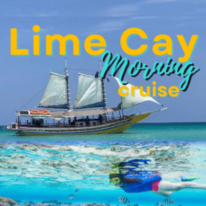 Morning Cruise