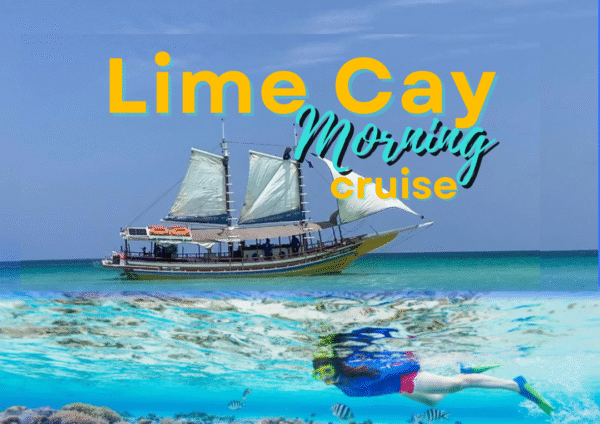Morning Cruise
